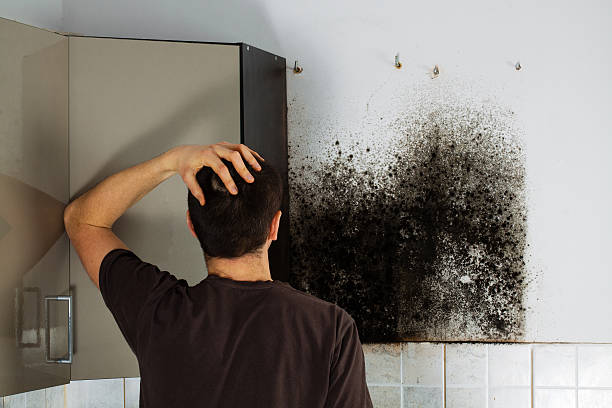 Best Commercial Mold Removal  in Mifflinburg, PA